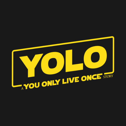 YOLO (You Only Live Once): significado, como surgiu e memes