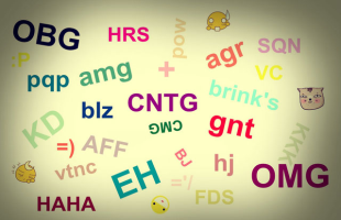 Língua Inglesa – Internet Slangs – Conexão Escola SME