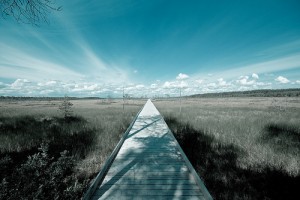 straight_narrow