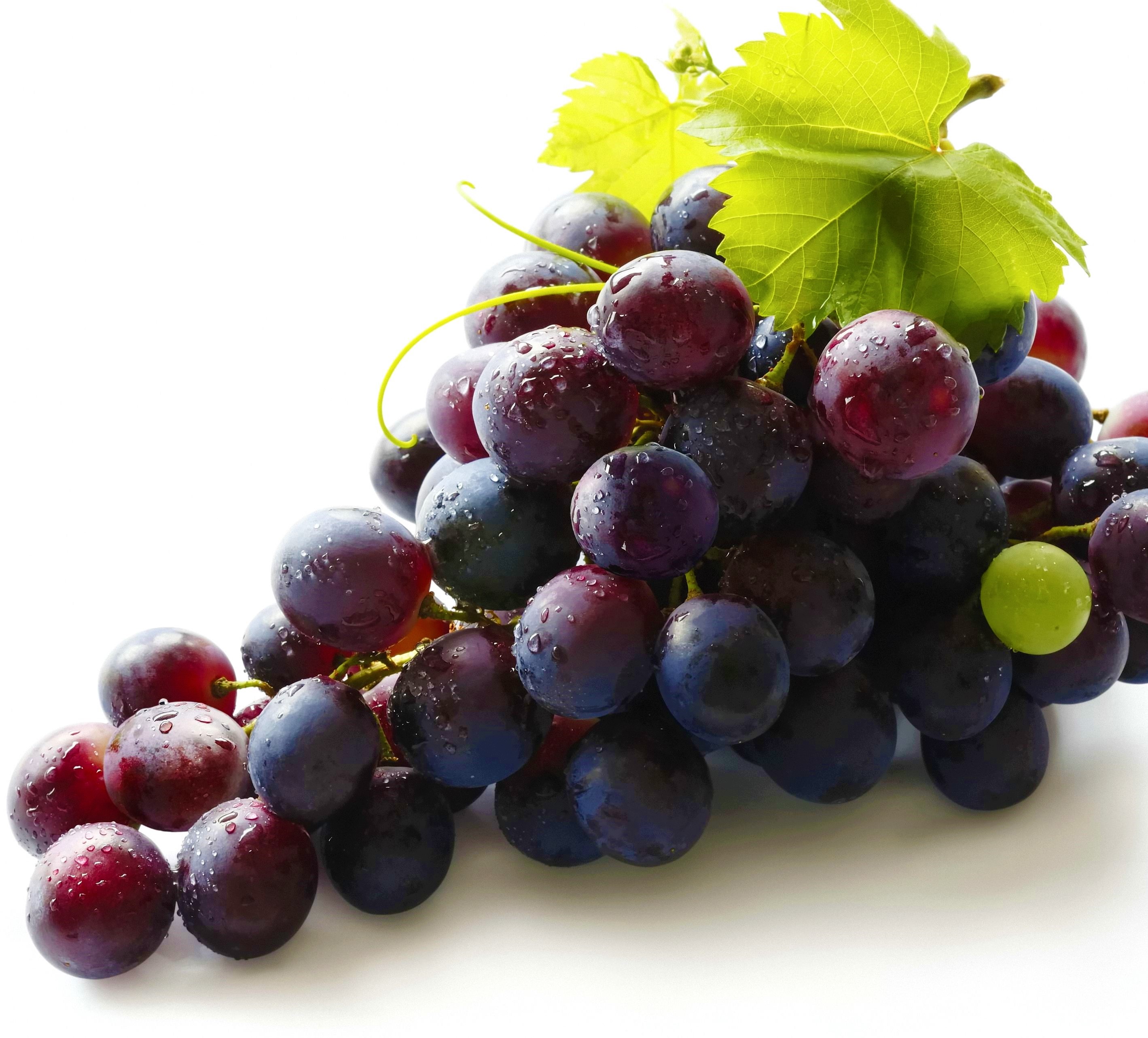 4. Bunch-of-grapes.jpg