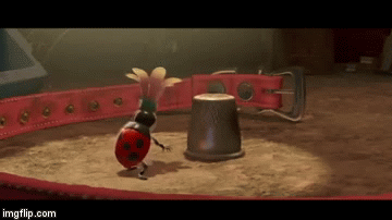 Insetos_e_pequenos_animais_-_Imagem_1.gif