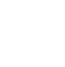 A Dream Come True