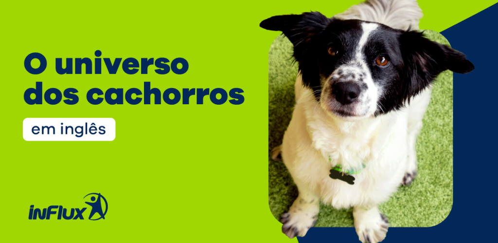 O universo dos cachorros em inglês