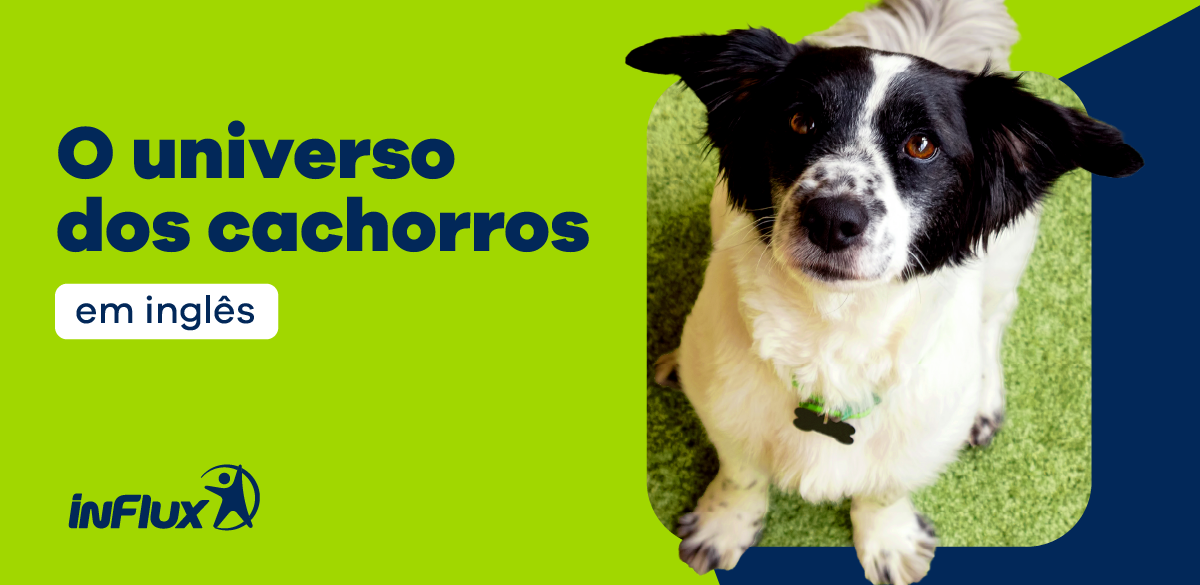 O universo dos cachorros em inglês