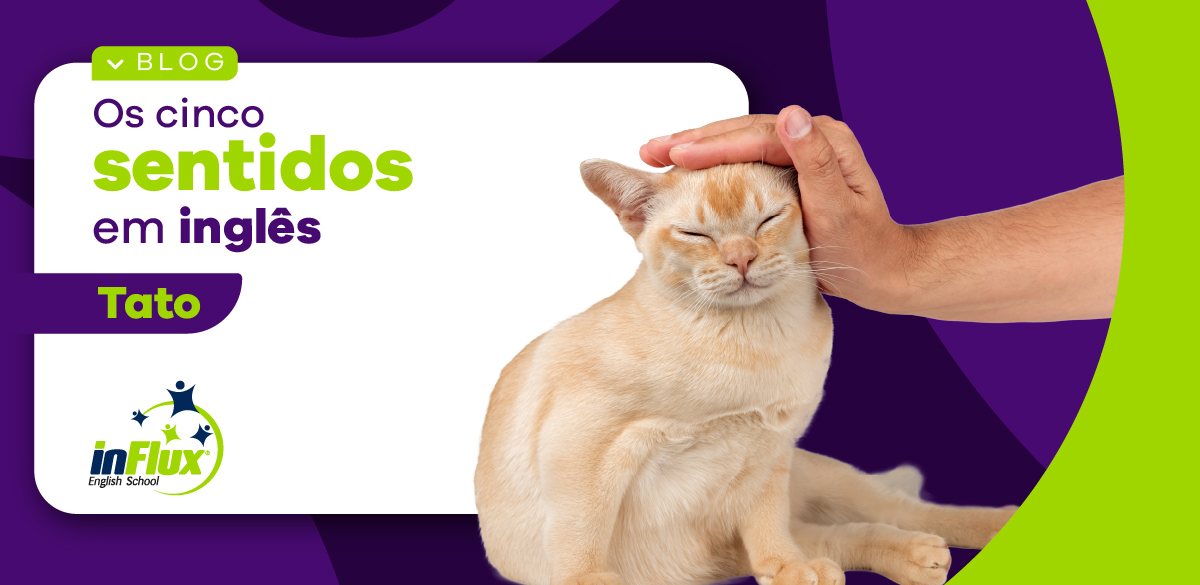 Os Cinco Sentidos em inglês – Tato