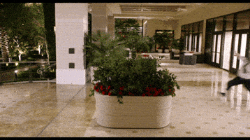 10 erros muito comuns que você pode cometer falando inglês em uma viagem paul cop GIF
inFlux English School: 10 erros muito comuns que você pode cometer falando inglês em uma viagem