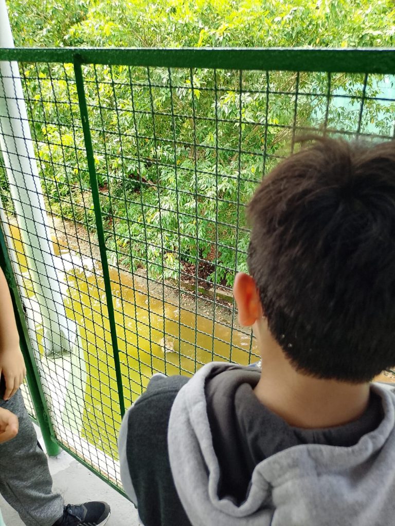 whatsapp image 2026 02 07 at 111315uytiyui inFlux