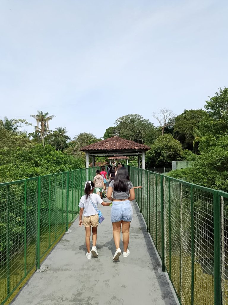 whatsapp image 2026 02 07 at 111317dfdsfdfg inFlux