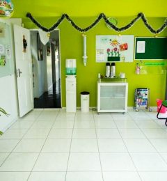 sao-braz-area-02