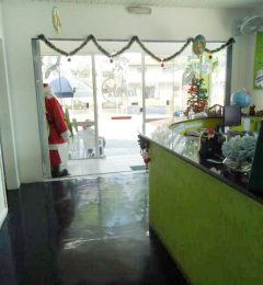 sao-braz-area-11