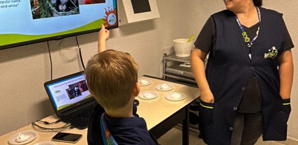 WhatsApp Image 2024-04-15 at 18.47.25